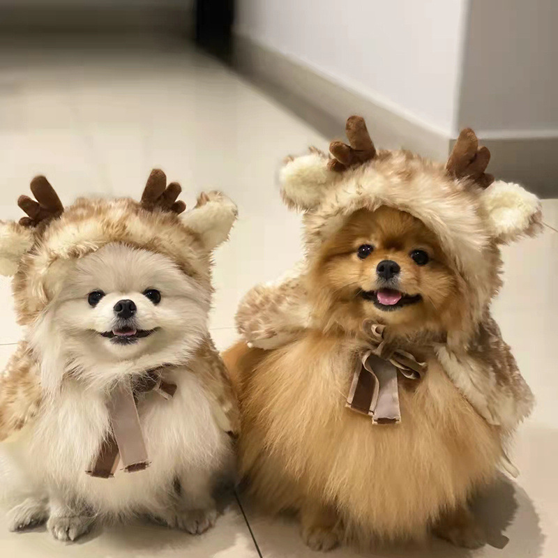 Winter Clothing Dress Up - Roupa de Natal para animais de