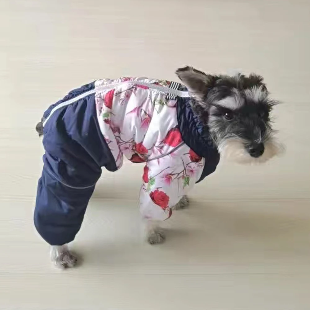 Winter Clothing Boys - Roupas de Inverno para Animais de