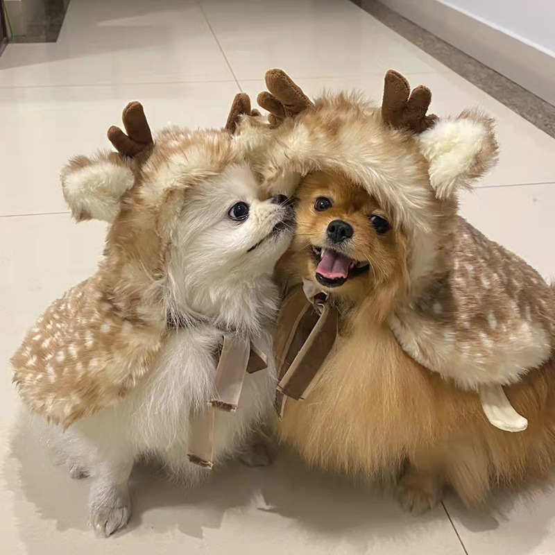 Roupa de Natal para animais de - Winter Clothing Dress Up avaliação e preço