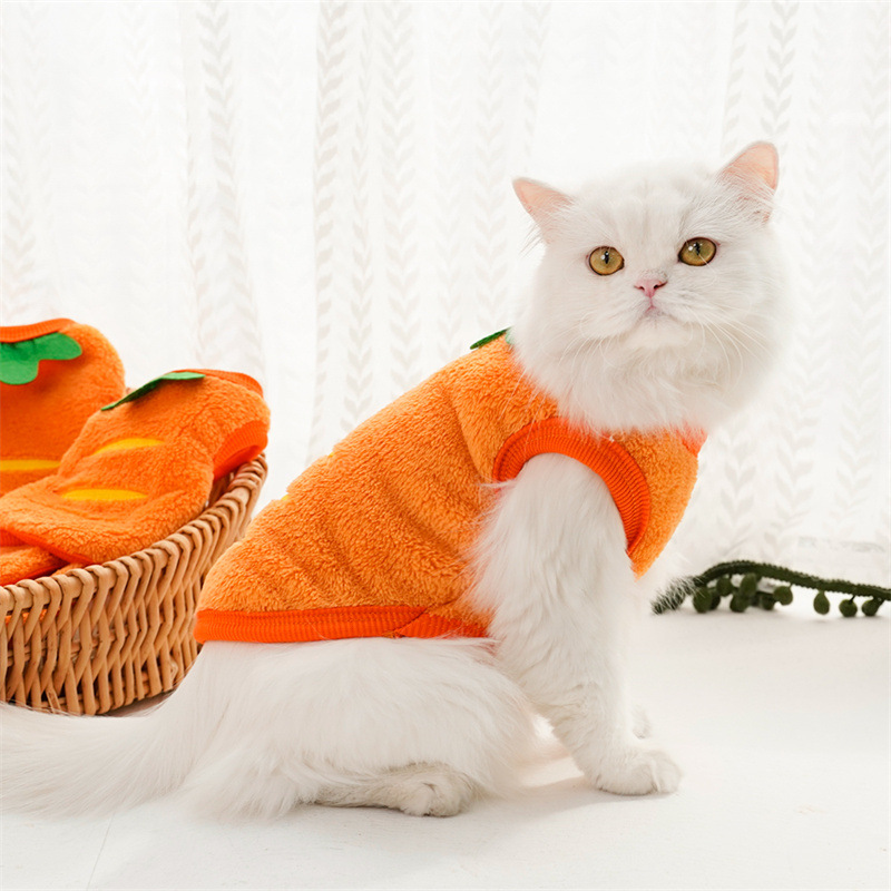 Roupas para animais de estimaç - Winter Clothing Boys avaliação e preço