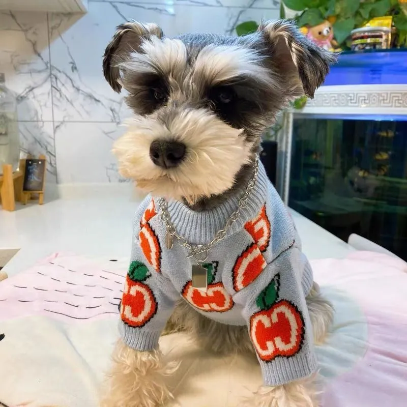 Carta camisola roupas para cãe - Winter Clothing Boys avaliação e preço