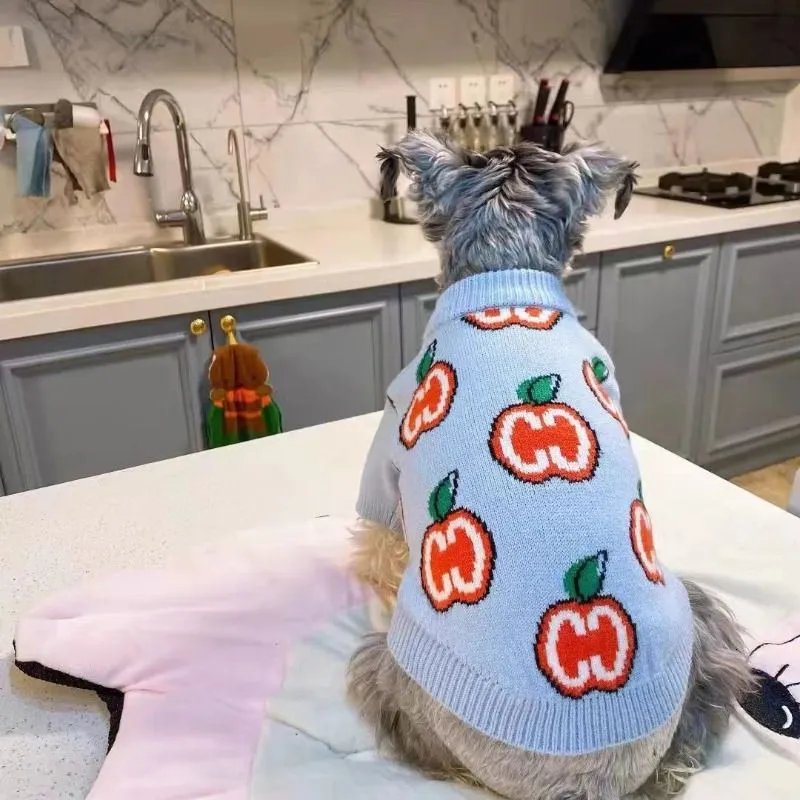 Carta camisola roupas para cãe - Winter Clothing Boys avaliação e preço