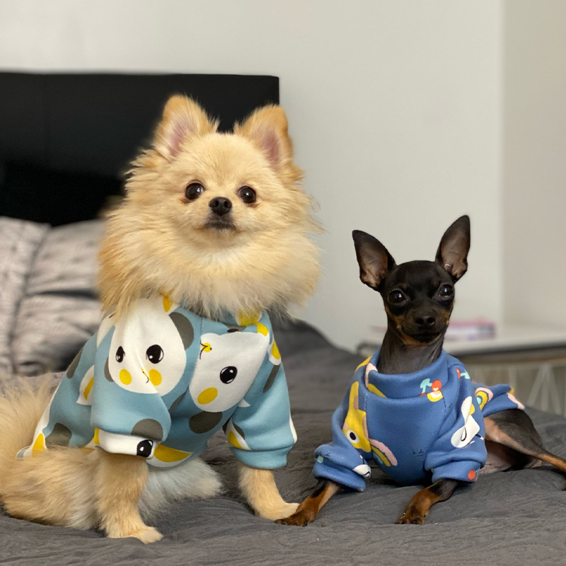 Xs roupas para cães pequenos,  - Winter Clothing Boys avaliação e preço