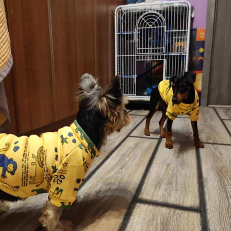 Xs roupas para cães pequenos,  - Winter Clothing Boys avaliação e preço