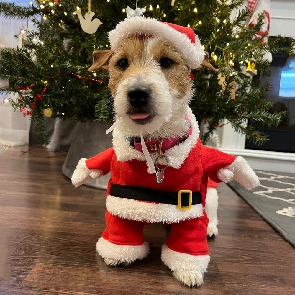 Roupas de natal para cães gato - Winter Clothing Dress Up avaliação e preço