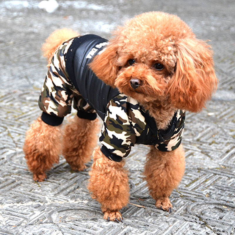 Legal fbi roupas para cães de  - Winter Clothing Boys avaliação e preço